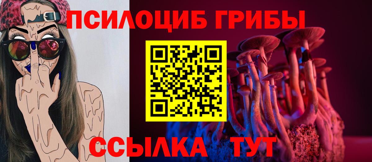 Псилоцибиновые грибы Psilocybine cubensis Прохладный